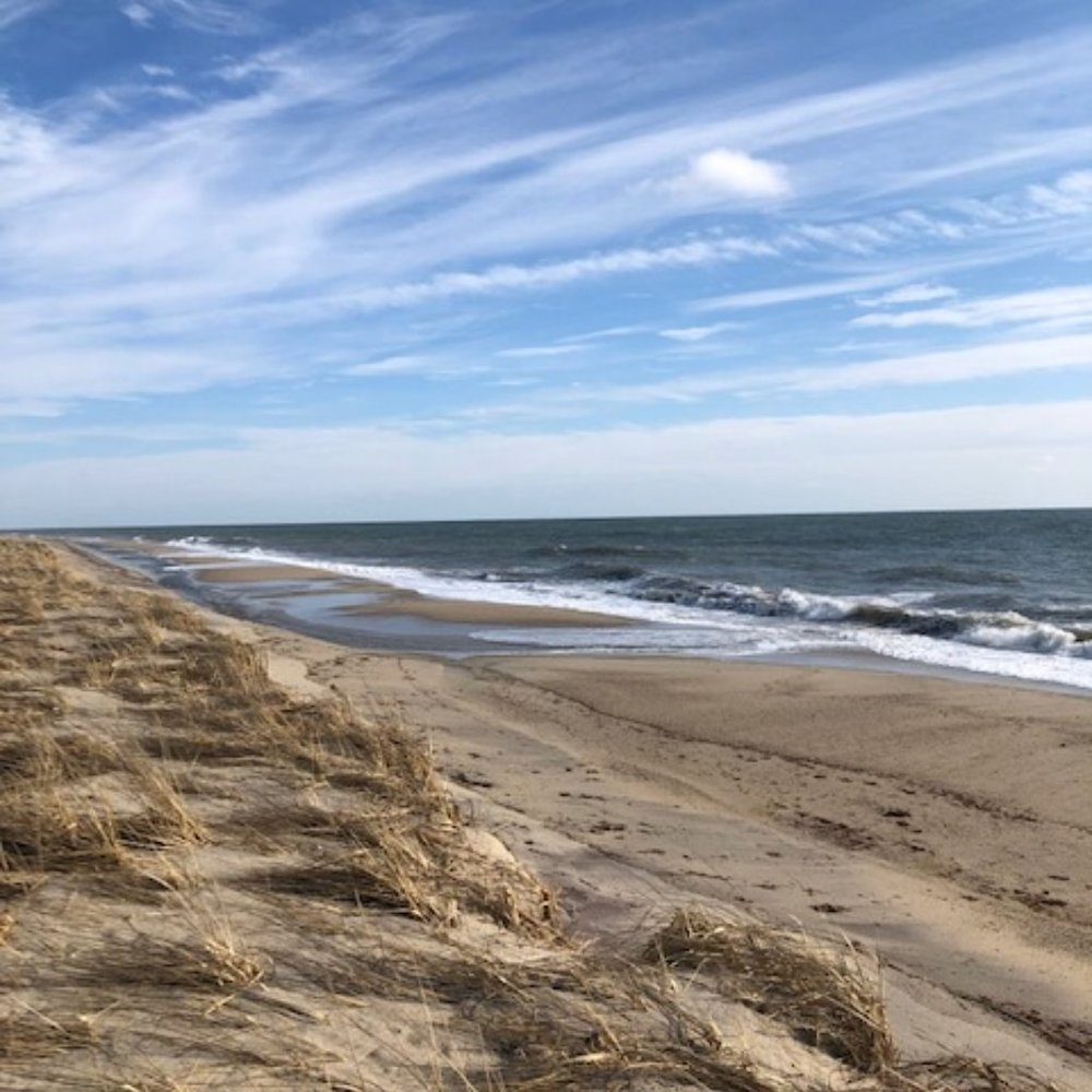 Meet your Posher, Cheri